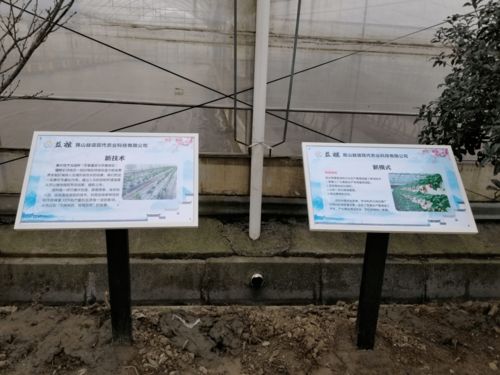 高颜值、高科技、高标准 张浦镇“三维一体”高质量推进蔬菜基地建设与技术推广