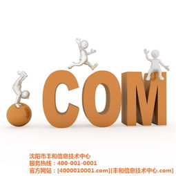 丰和信息技术中心 辽源市网络推广与高清图片经济信息咨询的专业引领者